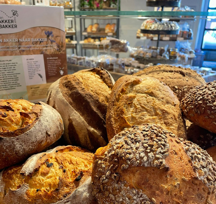 Duurzaam en eerlijk gebakken brood van akker naar bakker uit Ooststellingwerf